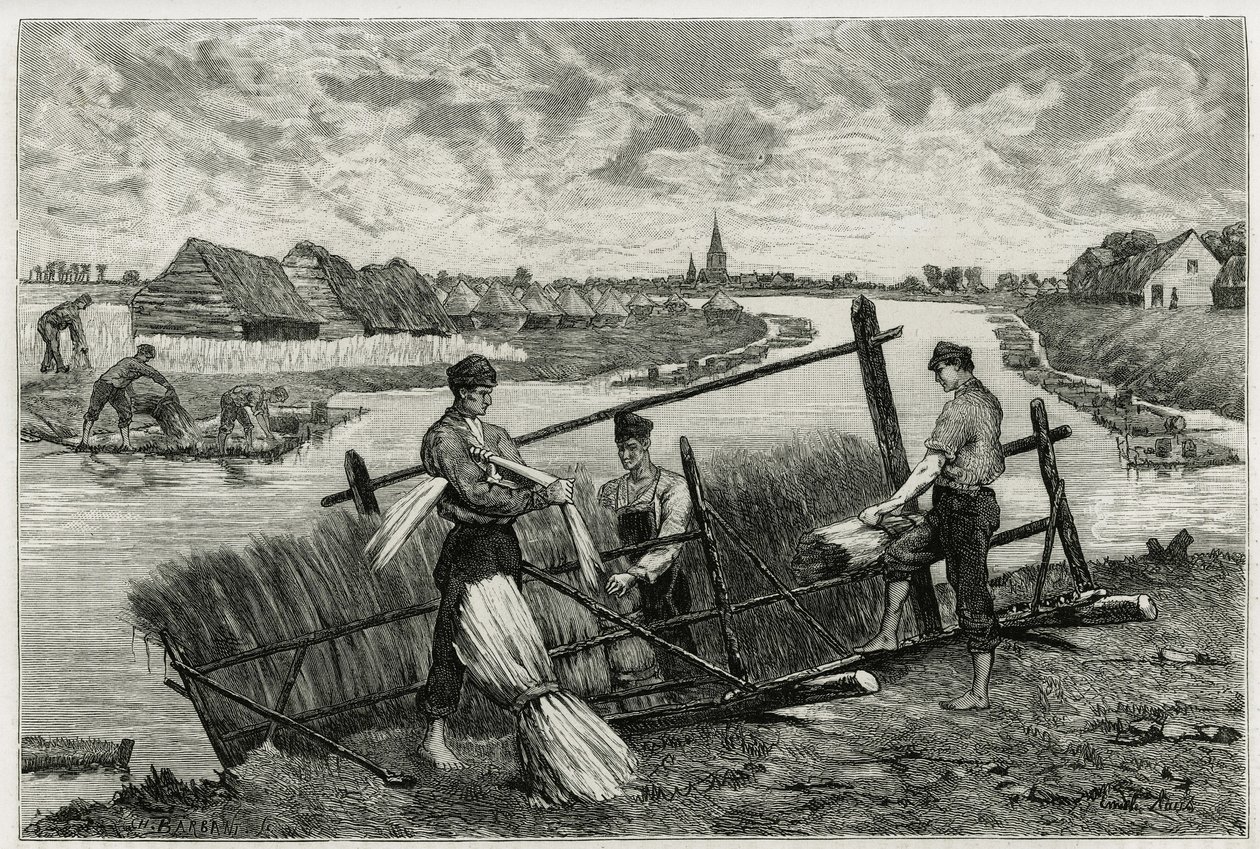 A len rozsdája (macerálás, hogy megkönnyítse a kéreg és a szár elválasztását) a Lys-ben (Franciaországtól és Belgiumtól északra fekvő folyó). Emile Claus metszete a „La Belgique” történet illusztrálására, Camille Lemonnier (1844) -1913), író és művészeti k alkotó: Emile Claus