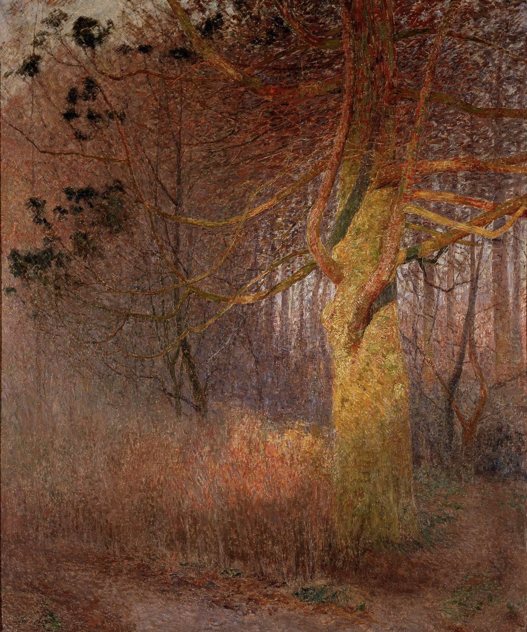 Napos fa alkotó: Emile Claus