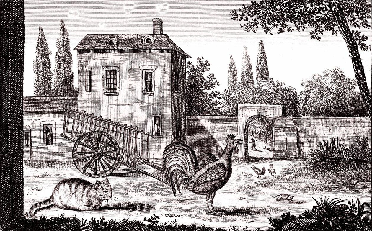 A kakas, a macska és az egér, Fable, La Fontaine alkotó: Emile Joseph Alexandre Gouget