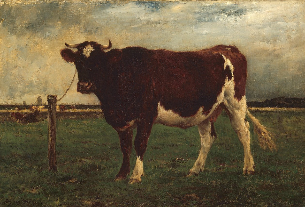 Tanulmány egy tehénről alkotó: Emile van Marcke de Lummen