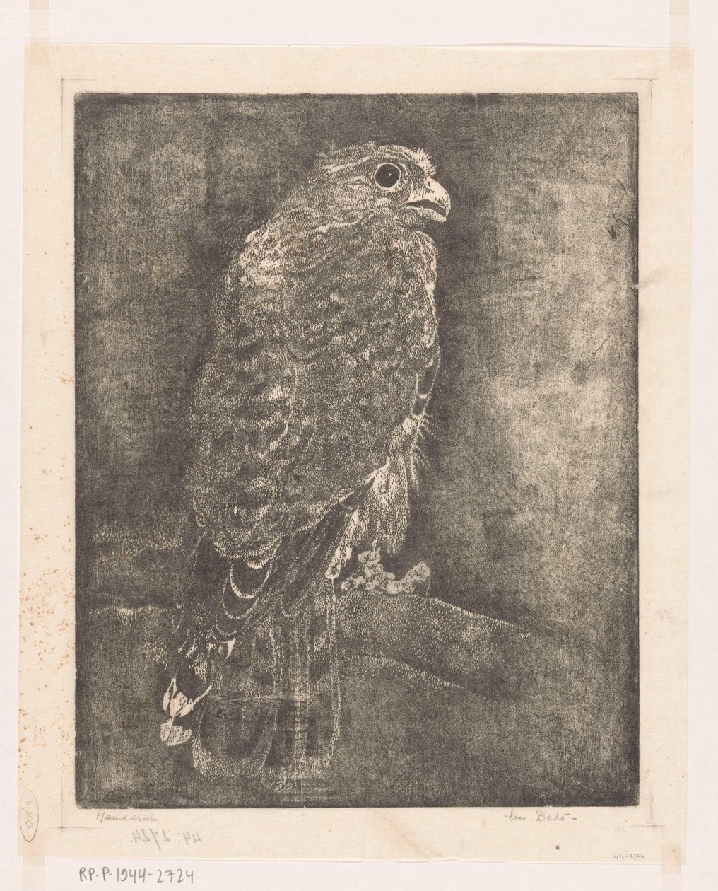 Sólyom egy ágon alkotó: Emilius Wilhelmus Dehé (signed by artist)