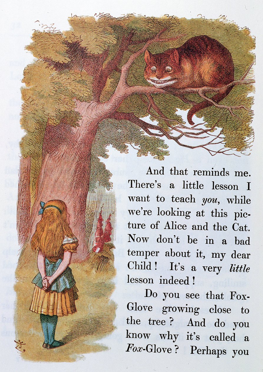 Alice és a Cheshire macska, illusztráció az „Alice Csodaországban” című könyvből, megjelent Londonban, 1889 alkotó: Emily Gertrude Thomson