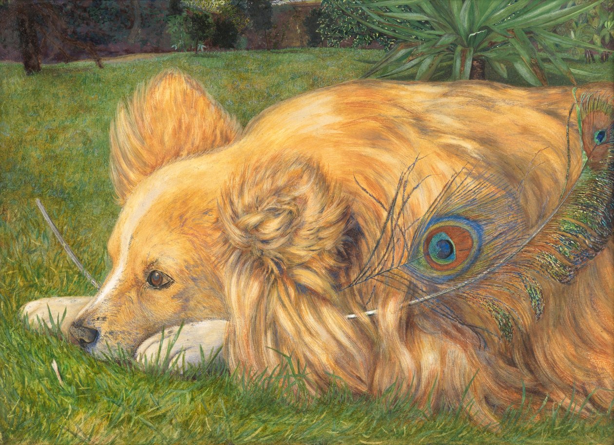 Féltékeny Jessie, 1861 (wc ceruzanyomok fölött, testszínnel kiemelve és kihúzva) alkotó: Emily and Hunt, William Holman Hunt