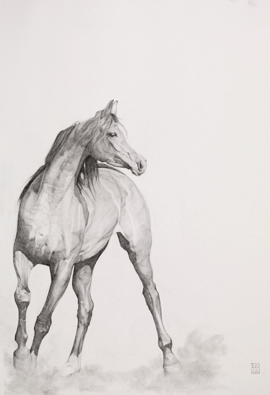Mozgókép, 1. sorozat, 2012 (grafit, papír) alkotó: Emma Kennaway