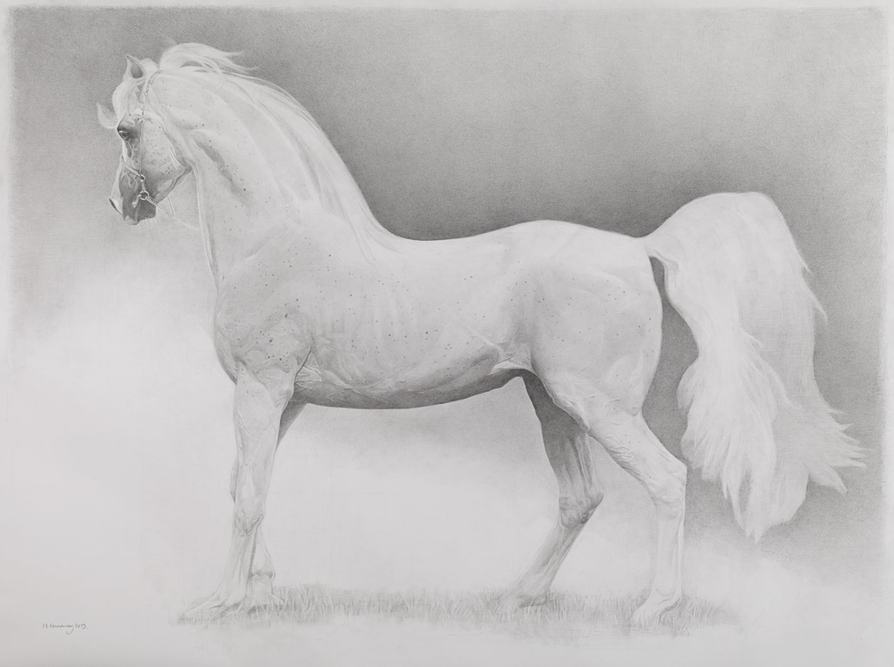 Mozgókép, 2. sorozat, 2013 (grafit, papír) alkotó: Emma Kennaway