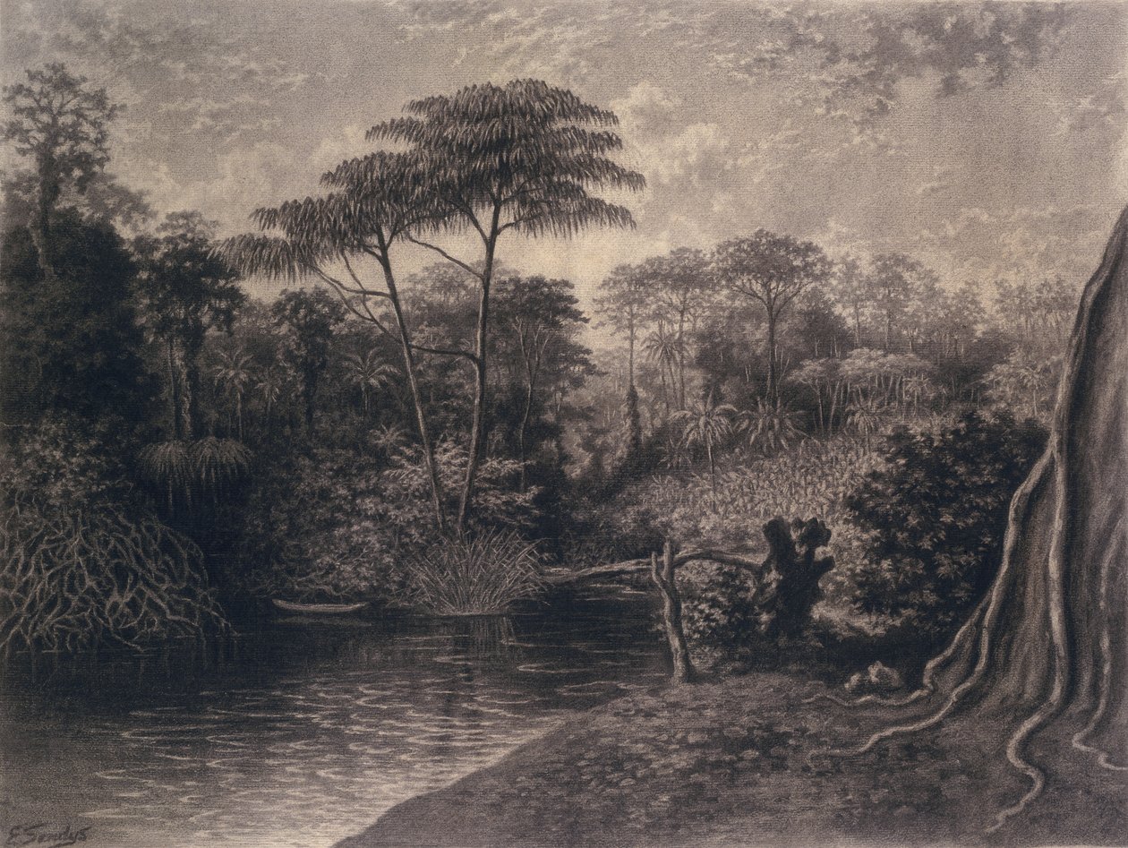 Kilátás a Kamerun folyóra, Ambes-öböl, Afrika, 1877 (szén papíron) alkotó: Emma Sandys