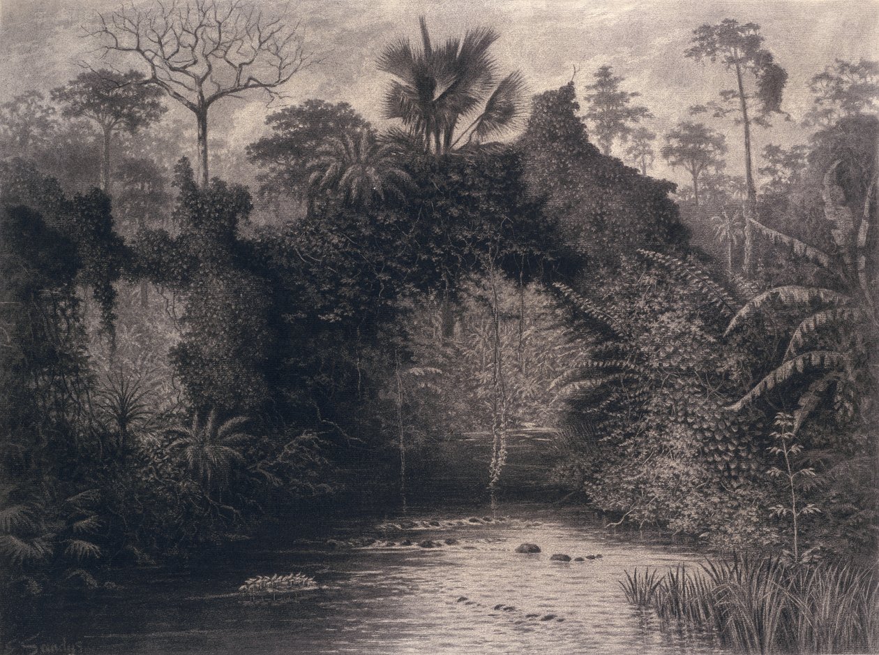 A Biafra-öböl látképe, Nyugat-Afrika, 1877 (szén, papír) alkotó: Emma Sandys