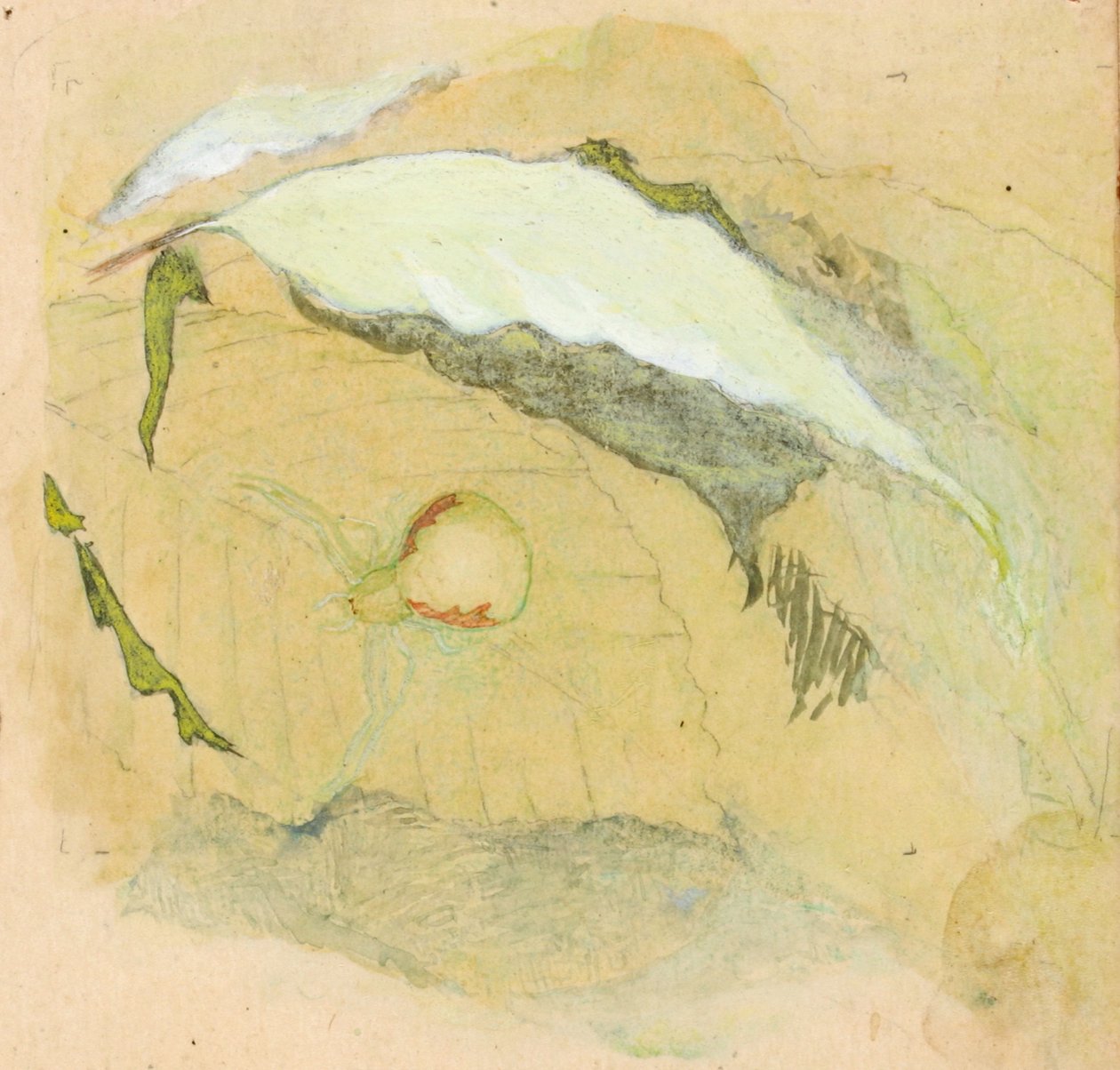 Porcelán-fehér pók, 19. század vége – 20. század eleje. alkotó: Emma Beach Thayer