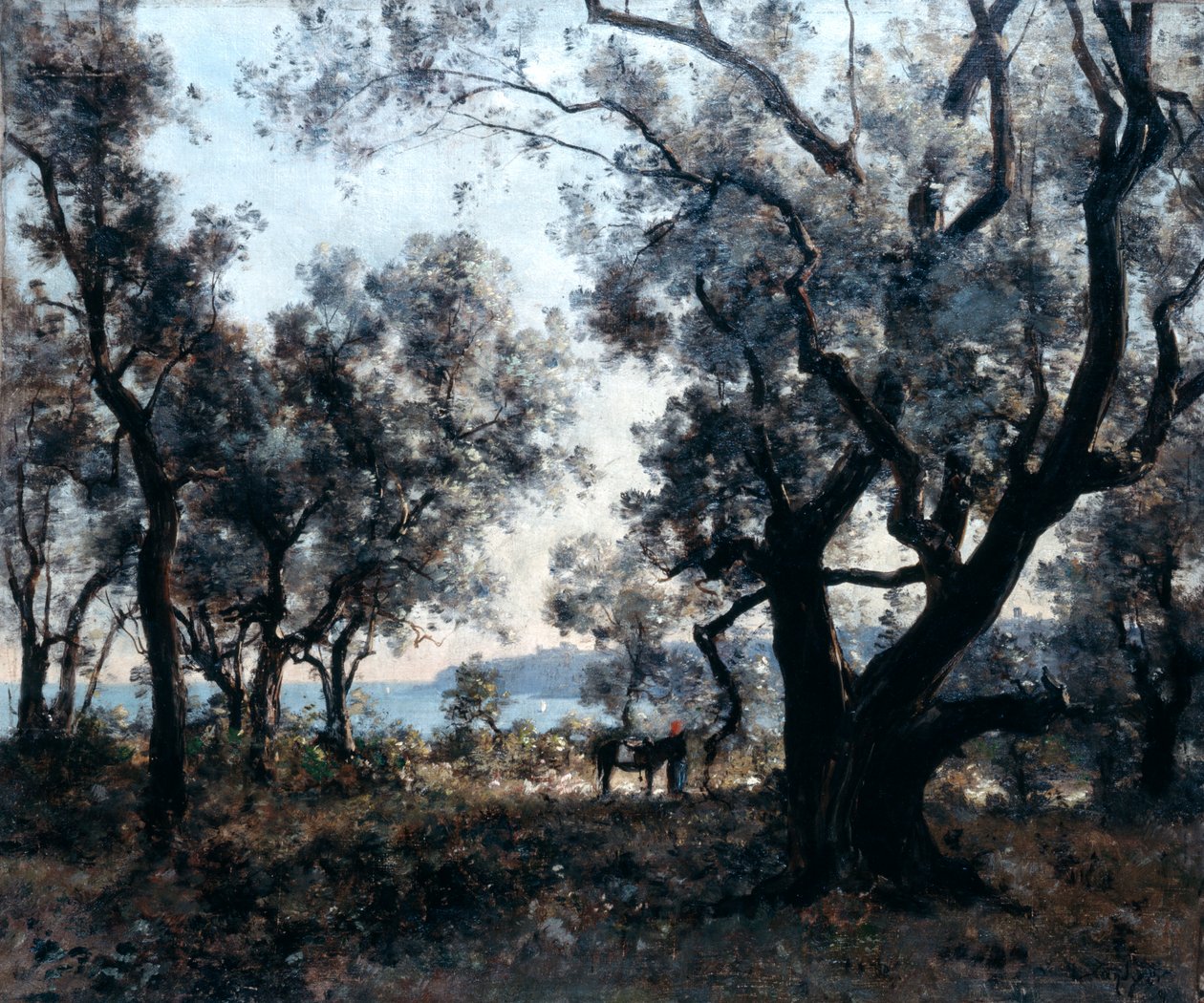 Olajfák Cap Martin környékén, 1891. alkotó: Emmanuel Lansyer