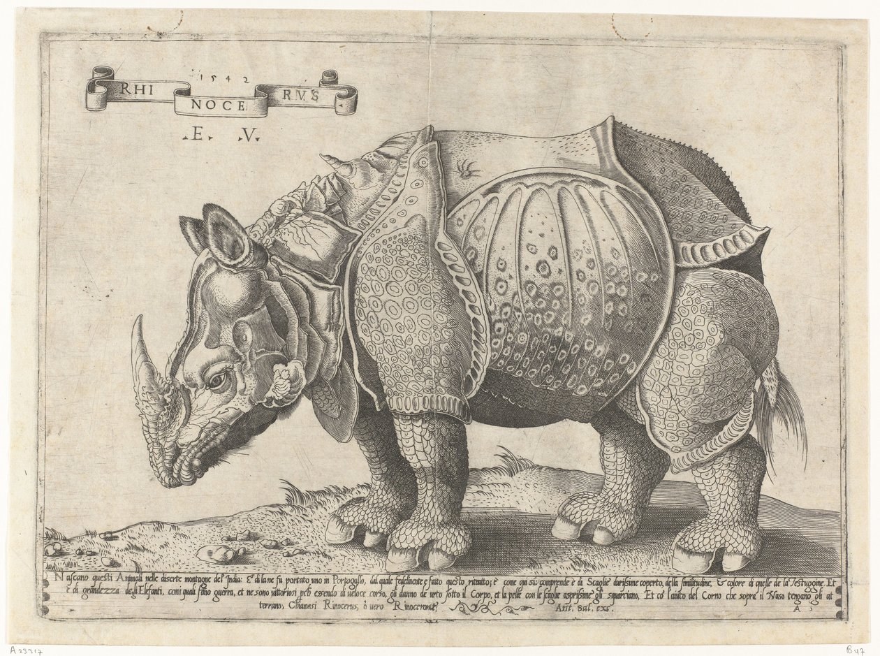 Neushoorn Rhinocerus (cím a tárgyon) alkotó: Enea Vico