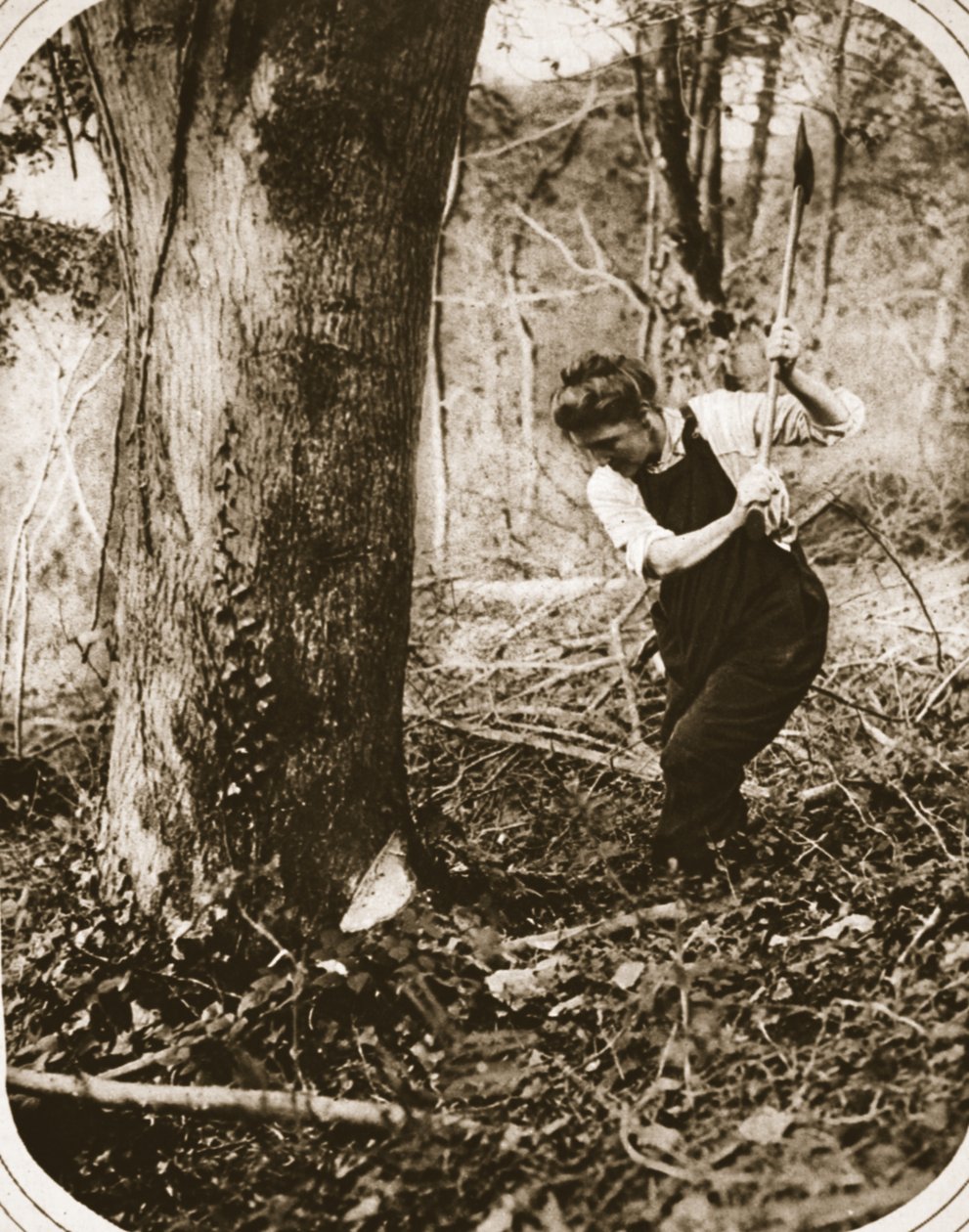 Egy megerőltető nő-munkás a Weston-Super-Mare-ben; fák kivágása Somerset erdőben, illusztráció a The Illustrated War Newsból, 1916. szeptember (szépia fotó) alkotó: English Photographer