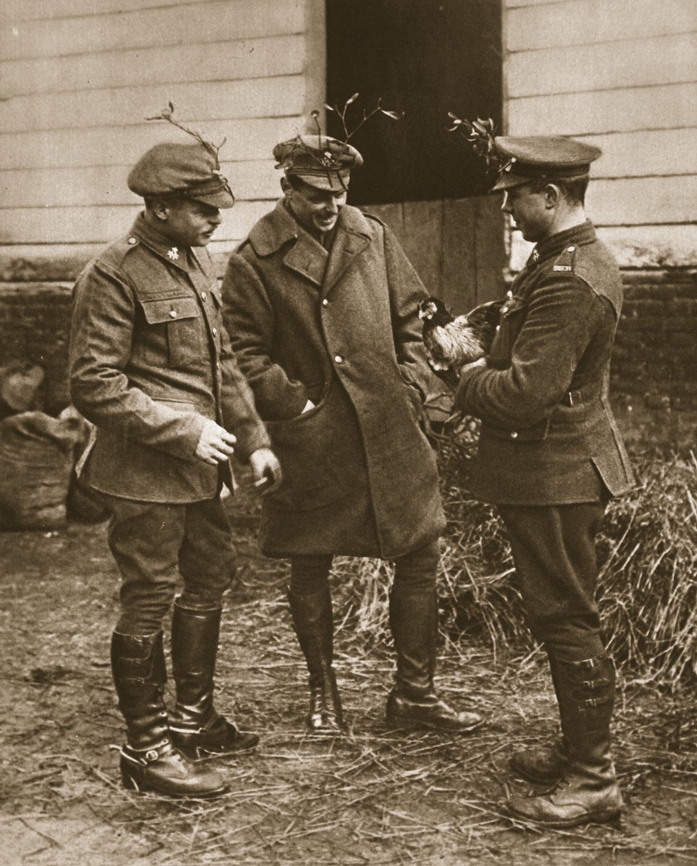 Tipikus brit csoport: fagyöngyöt viselő katonák és csirke karácsonyra, illusztráció a The Illustrated War Newsból (szépia fotó) alkotó: English Photographer