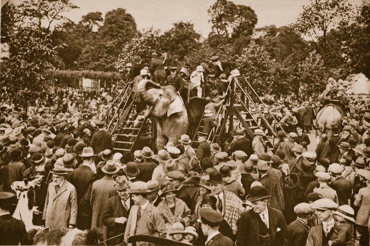 Állatlovaglások a londoni állatkertben (szépia fotó) alkotó: English Photographer