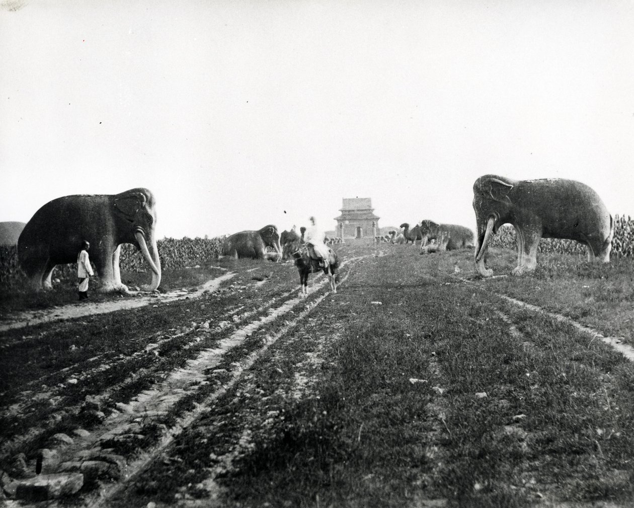 A Ming sírokhoz vezető őrző állatok sugárútja, Peking, 1868-70 alkotó: English Photographer