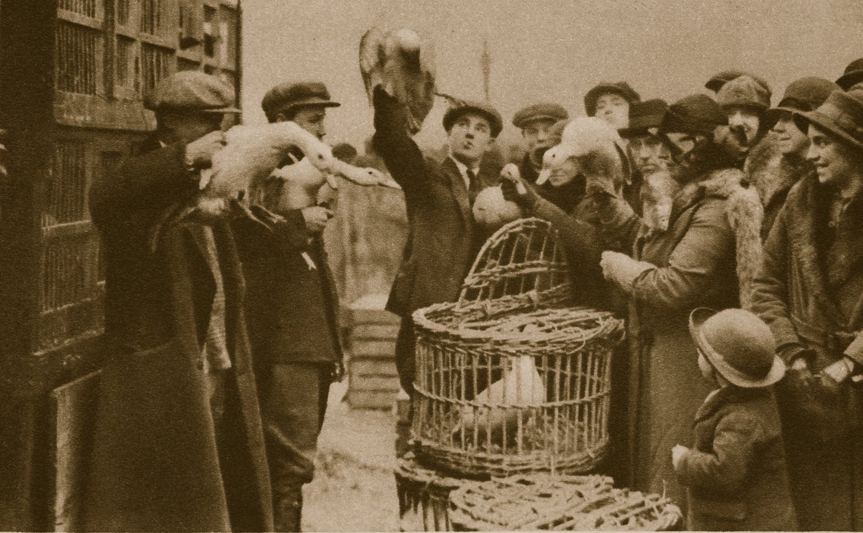 Élő baromfi vásárlása a Pedlars piacon a Caledonian Marketen (szépia fotó) alkotó: English Photographer