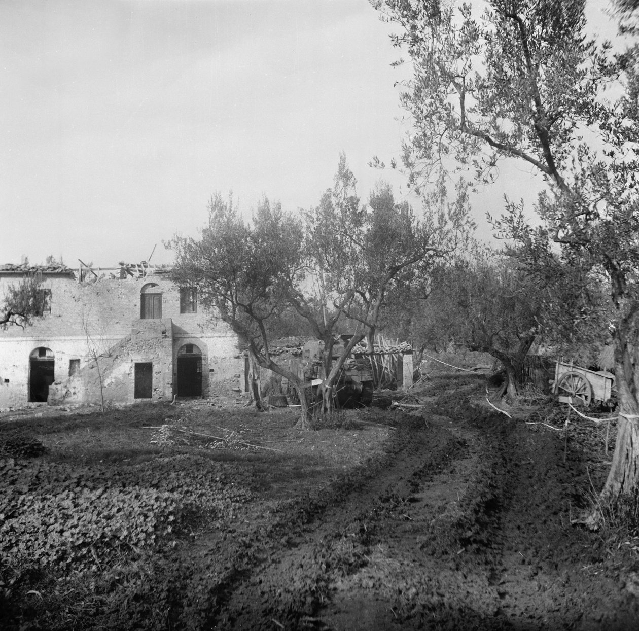 Bejárat a sávba egy aknamezőn keresztül, amely a Licolle Ridge-hez vezet, 1944 körül alkotó: English Photographer