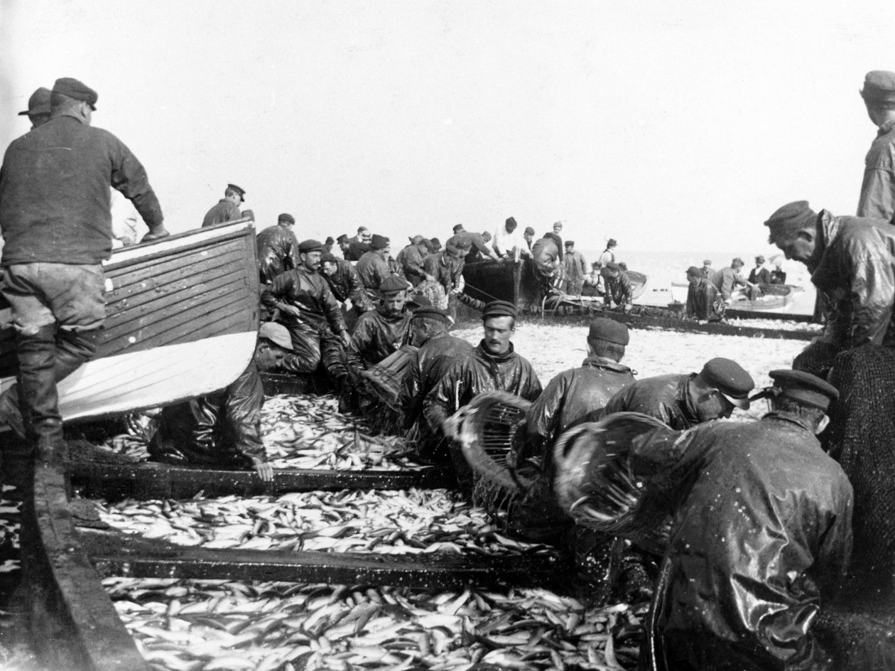 Halász a fogásukkal, 1890 körül alkotó: English Photographer