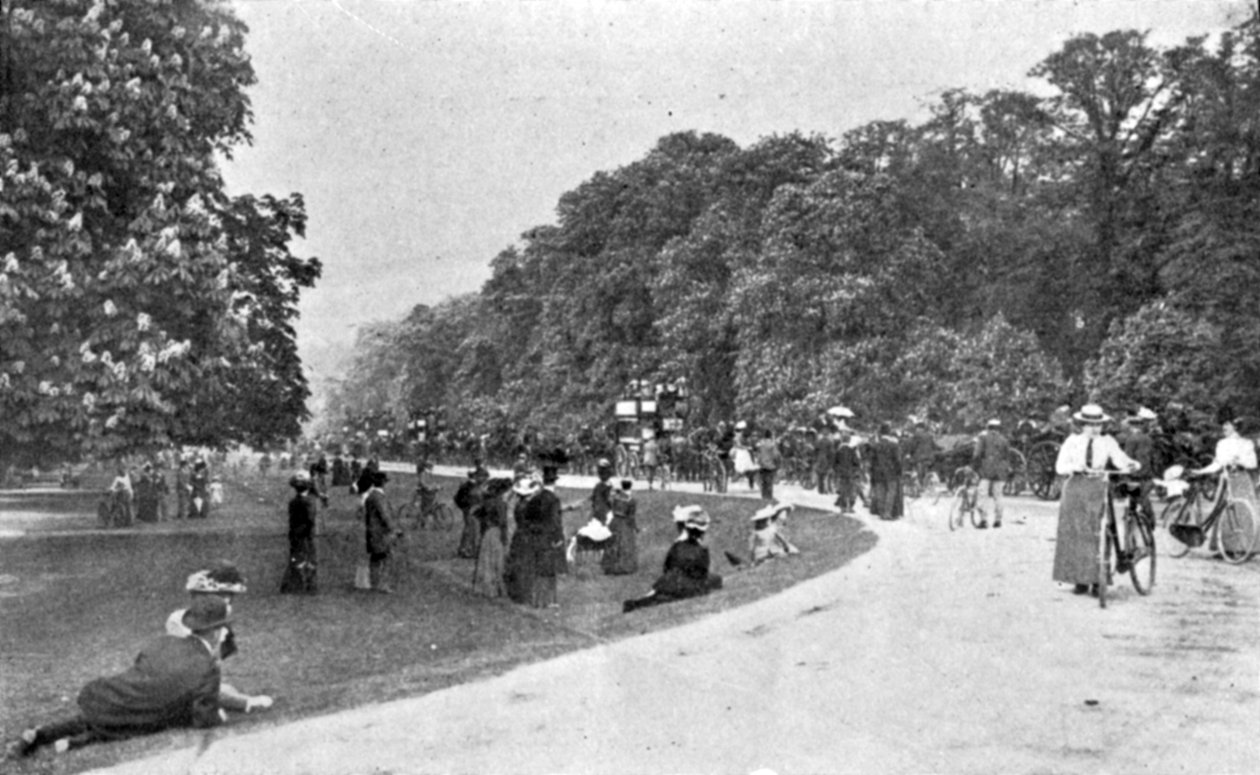 A Bushey Park általános képe, A király illusztrációja, 1901. május 25 alkotó: English Photographer