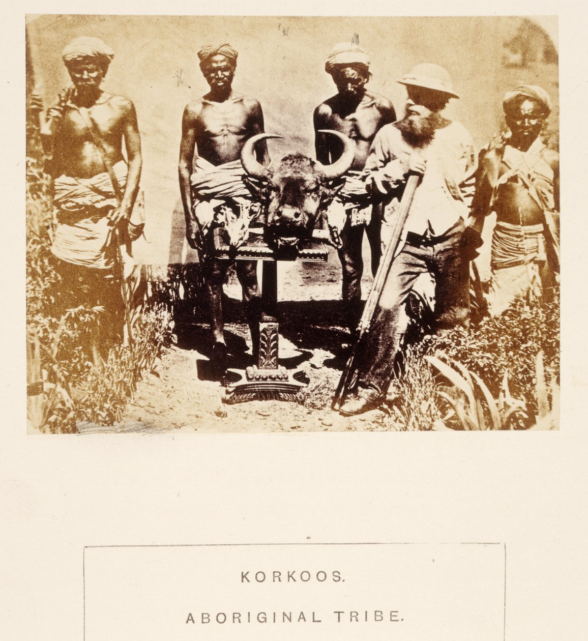 Korkoos, Aboriginal Tribe, Berar, The People of India, J. Forbes Watson, 1868-ban (albumnyomat) alkotó: English Photographer