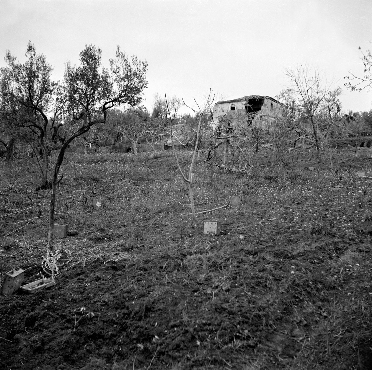 Aknamező, a Licolle Ridge teteje közelében, 1944 körül alkotó: English Photographer