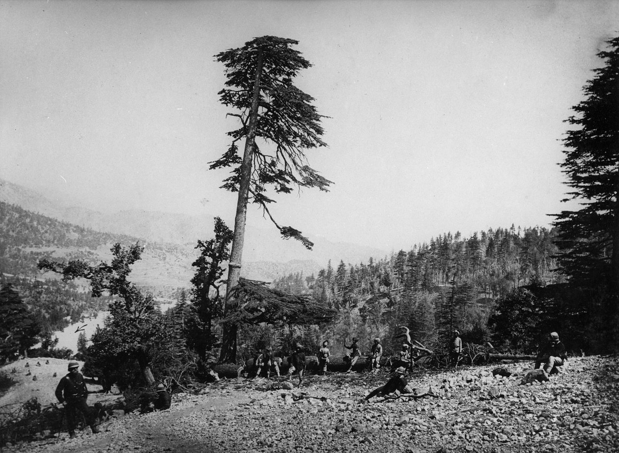 Őslakos és brit katonák pihentek a második angol-afgán háború alatt, 1878-80 alkotó: English Photographer