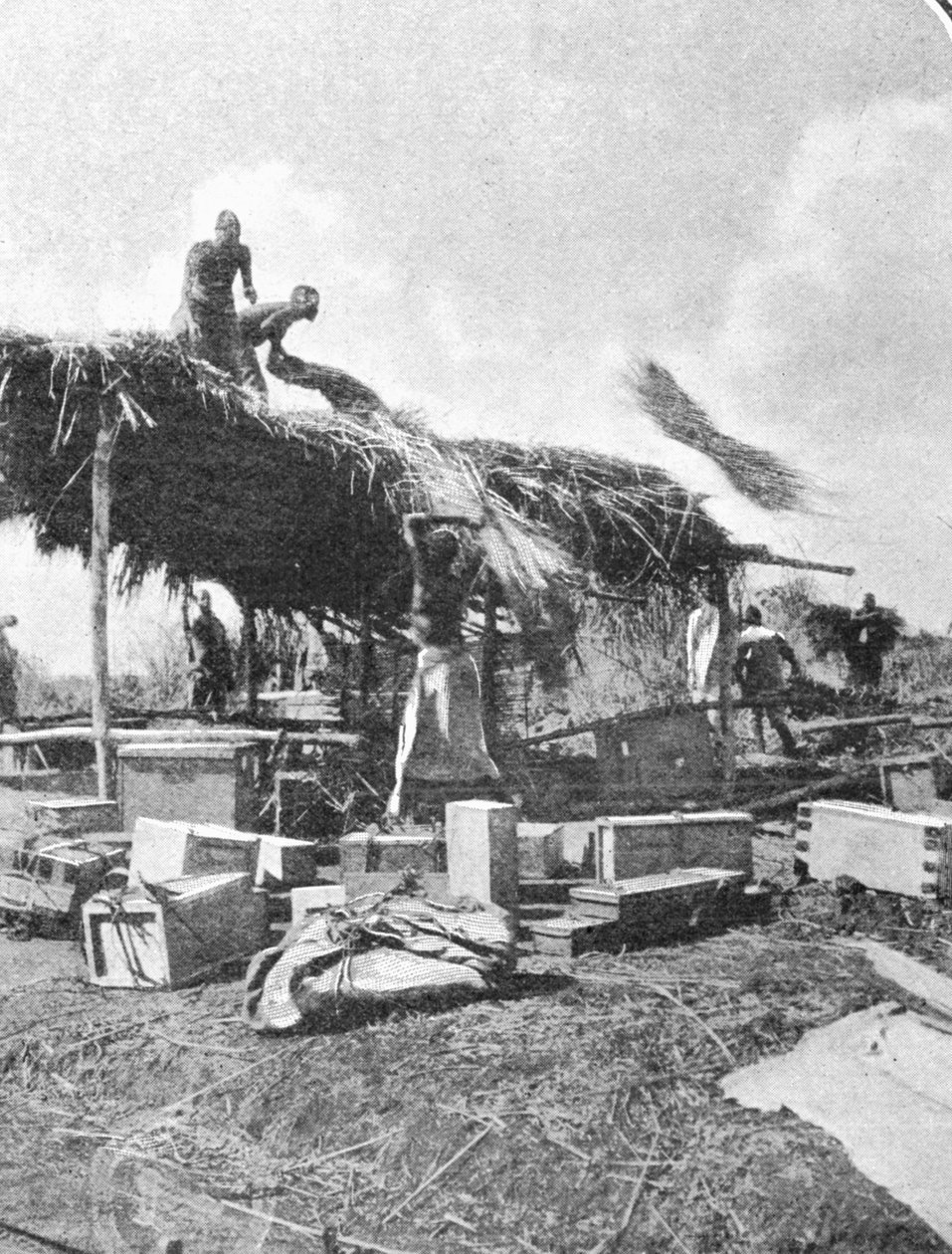 A bennszülöttek pihenőházat építenek a The Graphicban 1906. október 27-én megjelent, A Hold hegyeihez című cikkből alkotó: English Photographer