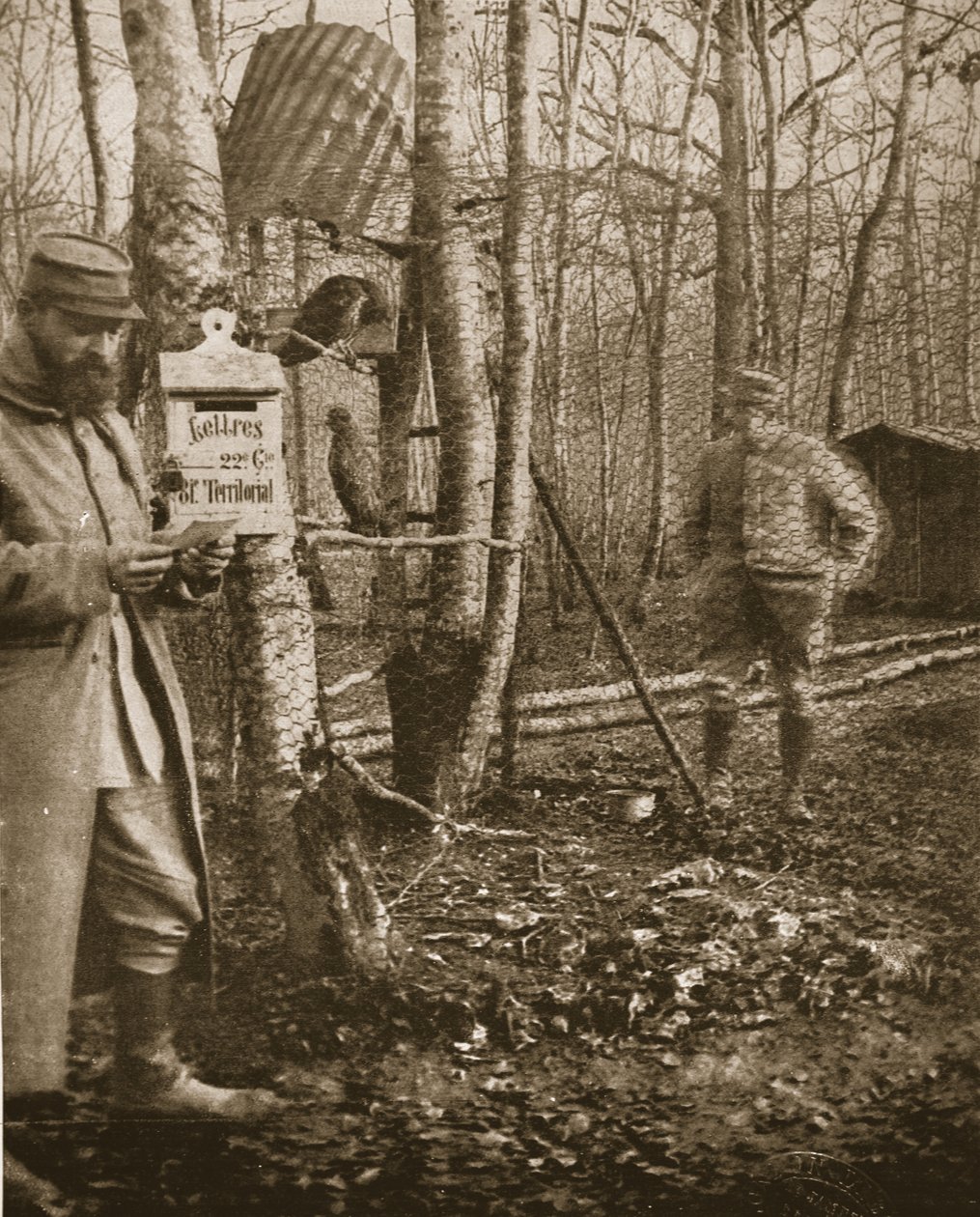 A francia lotharingiai fronton: Poilus-tábor levélszekrény és ölyv kabalák, illusztráció a The Illustrated War News-ból (seppia fotó) alkotó: English Photographer