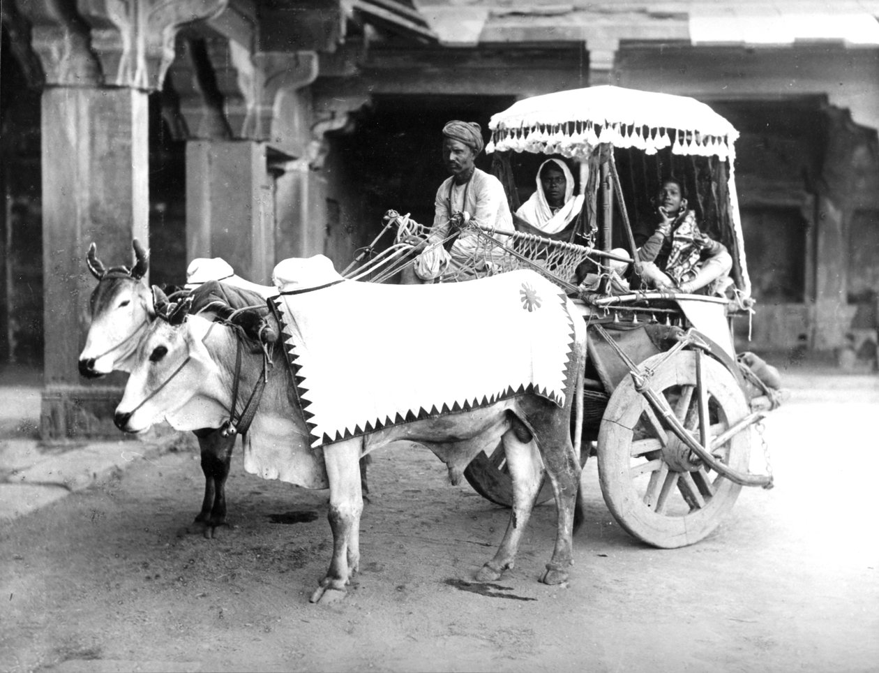 Ox-Drawn Cart, India, 1907 körül alkotó: English Photographer