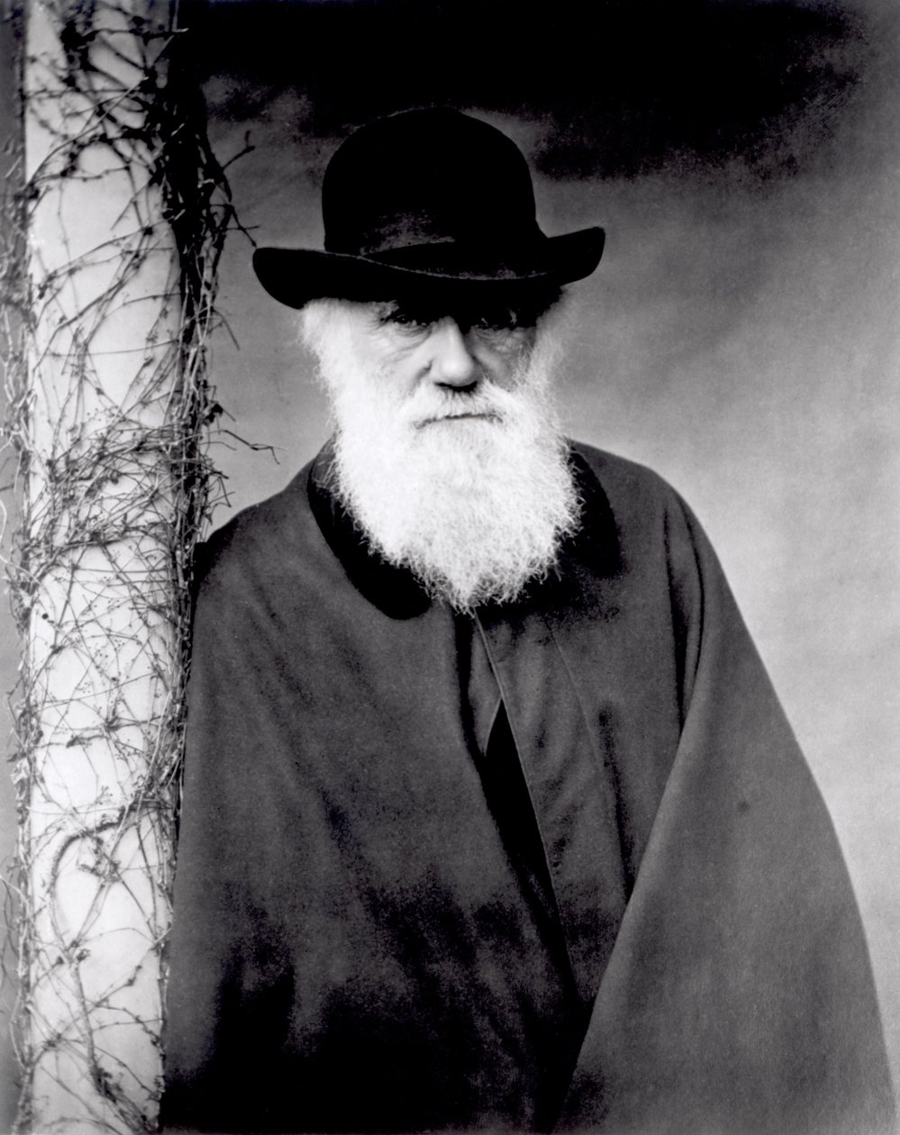 Charles Darwin portréja, 1881 alkotó: English Photographer