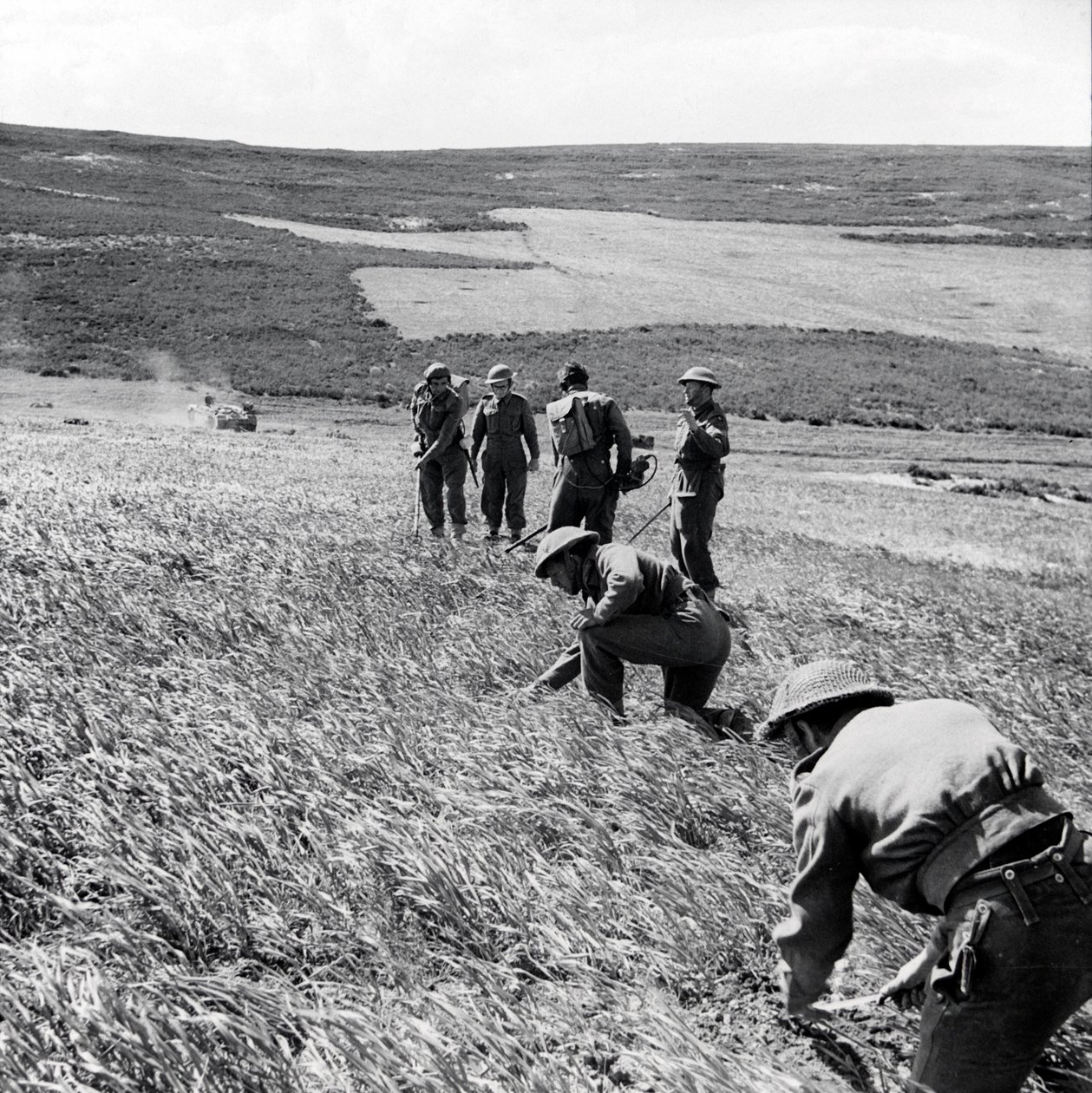 A 237 Field Company zsákmányolói, királyi mérnökök, aknamező megtisztítása az első hadsereg Toukabeur és Chaouach elleni támadása után, 1943. április alkotó: English Photographer