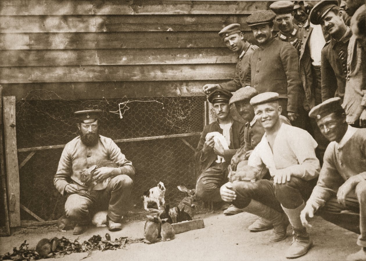 Néhány rab házi kedvence, Dorchester, illusztráció a német rabok Nagy-Britanniában című könyvéből (fotómélység) alkotó: English Photographer