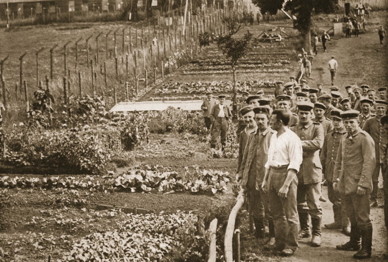 The Vegetable Garden, Eastcote, illusztráció a német foglyokról Nagy-Britanniában (fotónyomat) alkotó: English Photographer