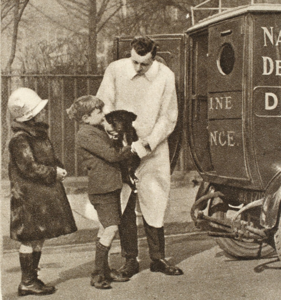 Az állatorvos a The Peoples Dispensary for Sick Animals fulhami részlegéből, Wonderful Londonból, 1926-27 között (fotómélység) alkotó: English Photographer