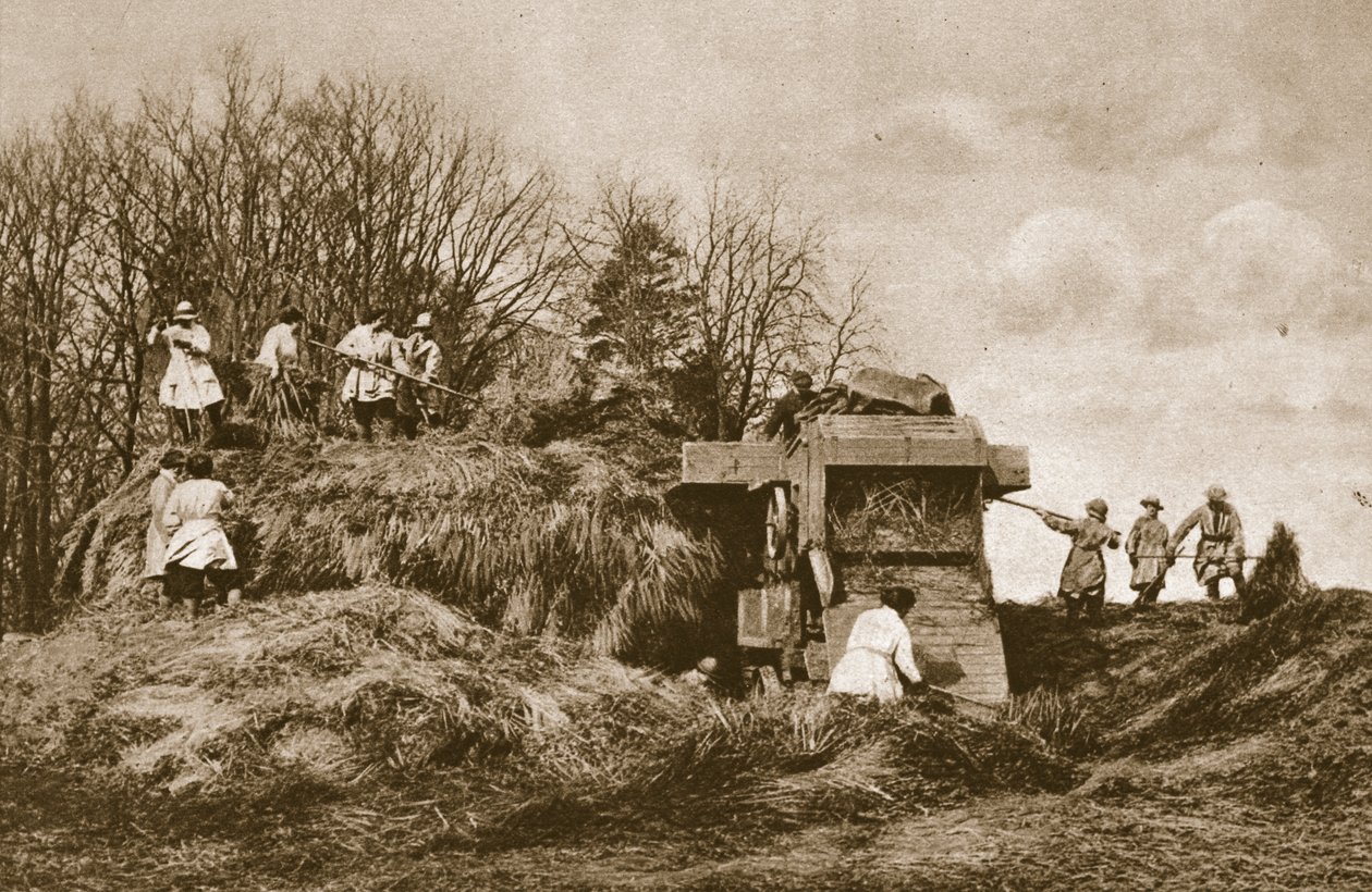 A női szárazföldi hadsereg kiképzése a mezőgazdaság összes ágának elméletében és gyakorlatában, 1914-1919 alkotó: English Photographer