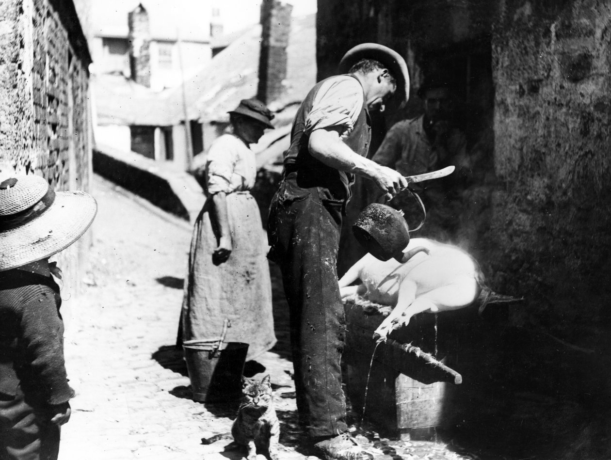 William Stevens Scalding the Pig közelében Norway Lane, St Ives, 1880-99 körül alkotó: English Photographer