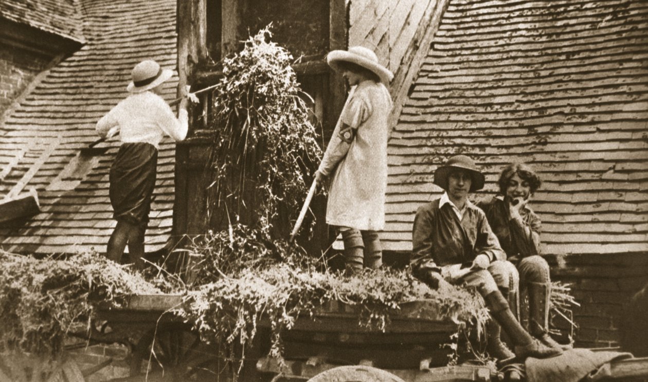 Nők a földön: néhány érdekes jelenet Eveshamban, a The Illustrated War Newsból, 1916. június 21. (szépia fotó) alkotó: English Photographer