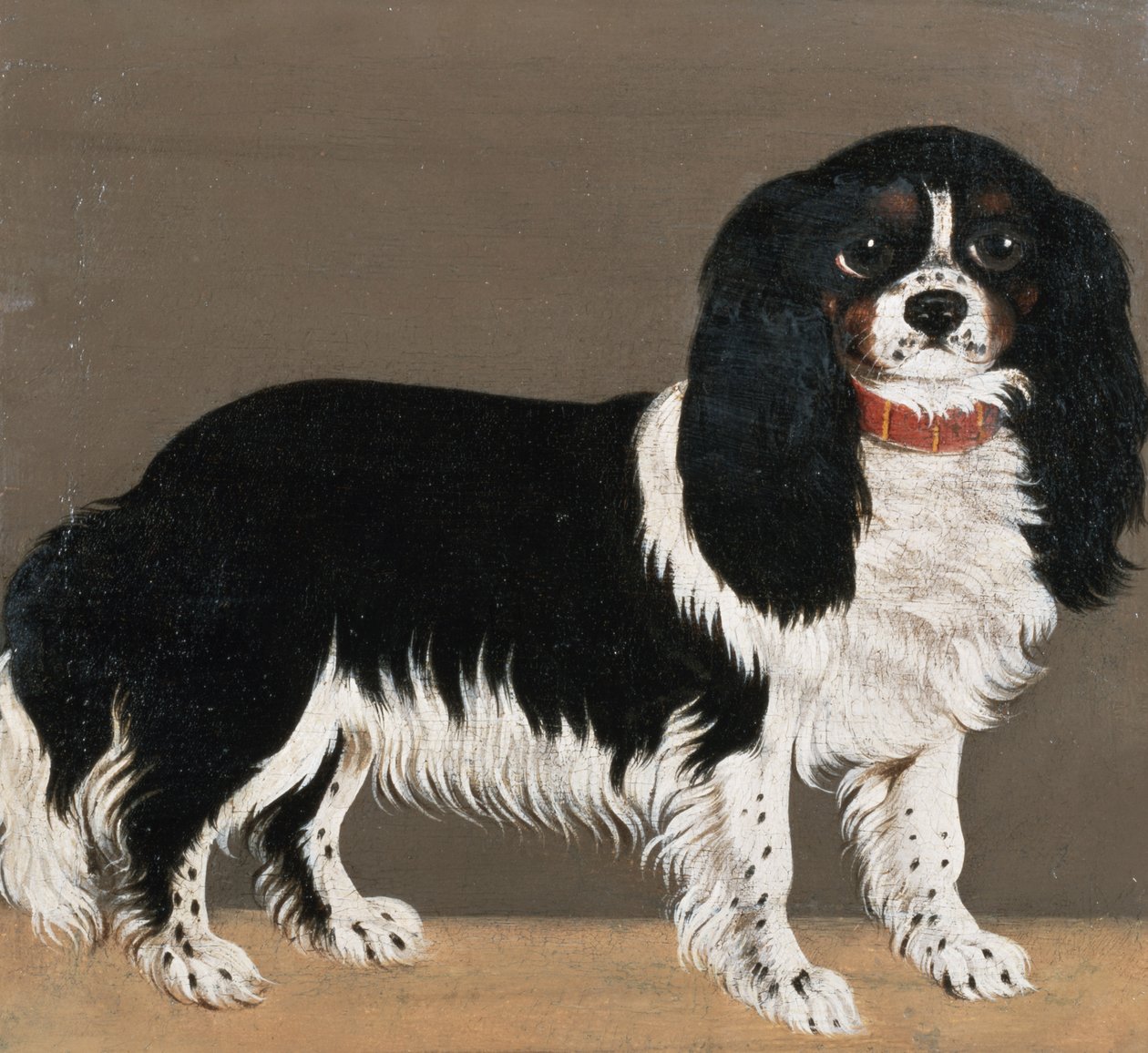 Egy Cavalier King Charles spániel (64045-ös pár) alkotó: English School