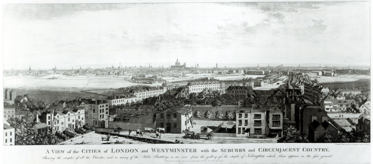 London és Westminster városának kilátása a külvárosokkal és a környező vidékkel, 1789 alkotó: English School