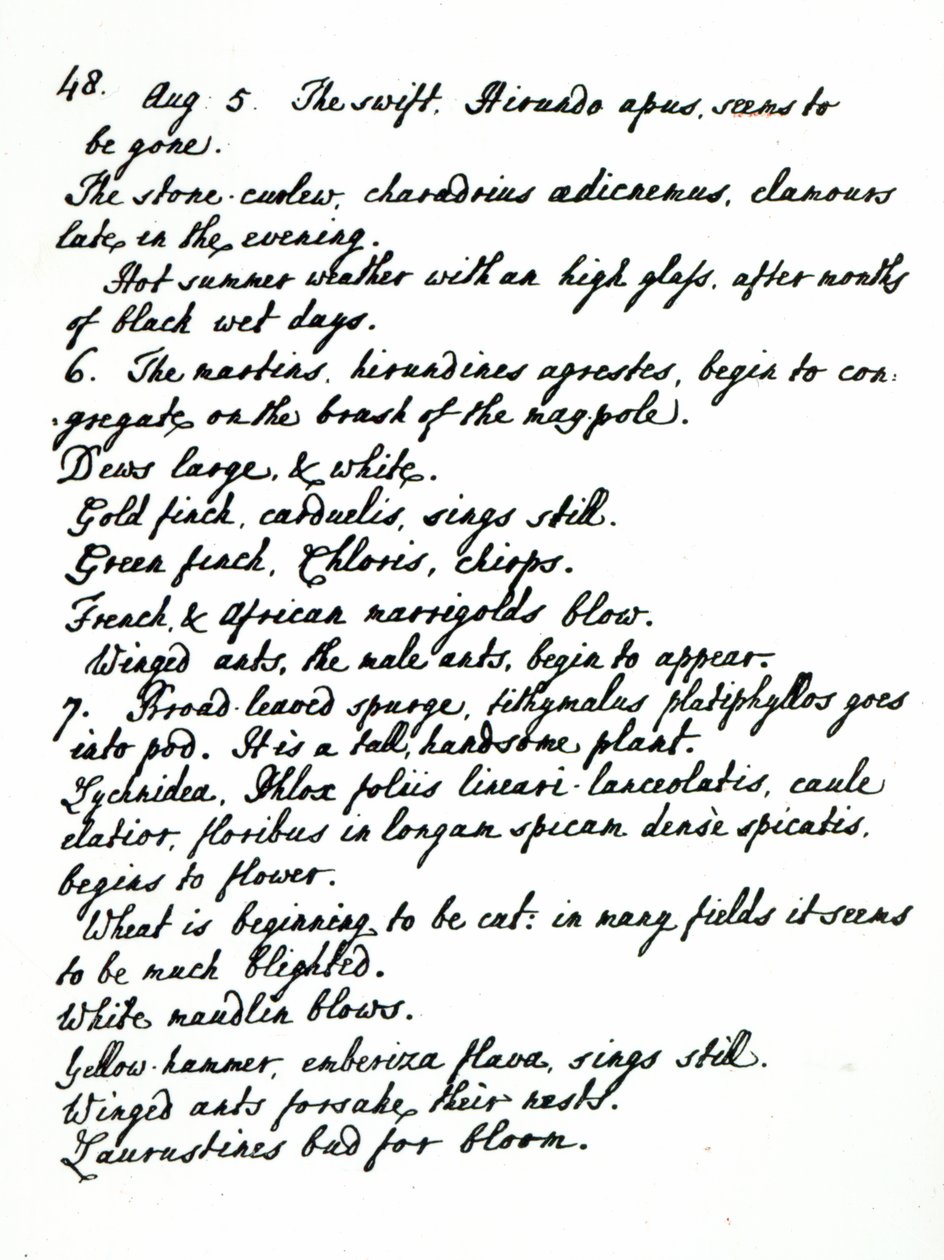 Egy oldal James Woodforde tiszteletes naplójából (tinta papíron) alkotó: English School