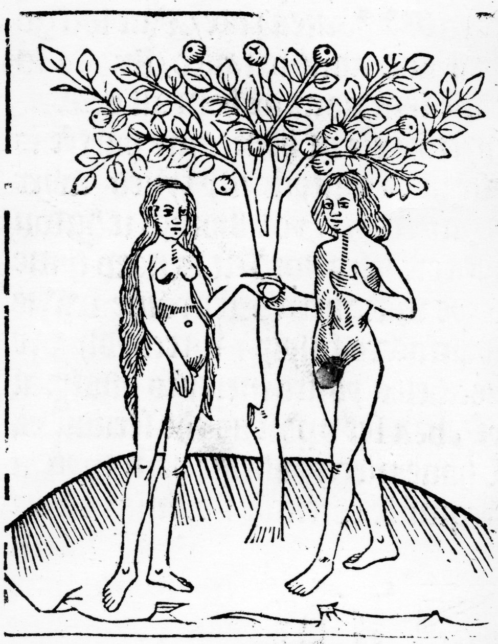 Ádám és Éva, illusztráció a „Speculum Vitae Christi”-ből, 1491 alkotó: English School