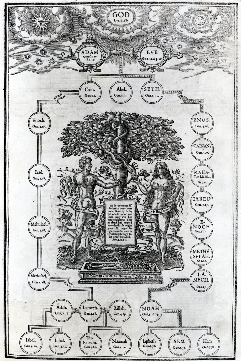Ádám és Éva családfája, 1556 alkotó: English School