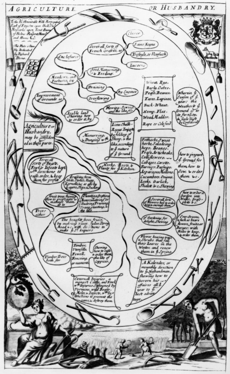 Mezőgazdasági vagy tenyésztési diagram, a „The Gentleman