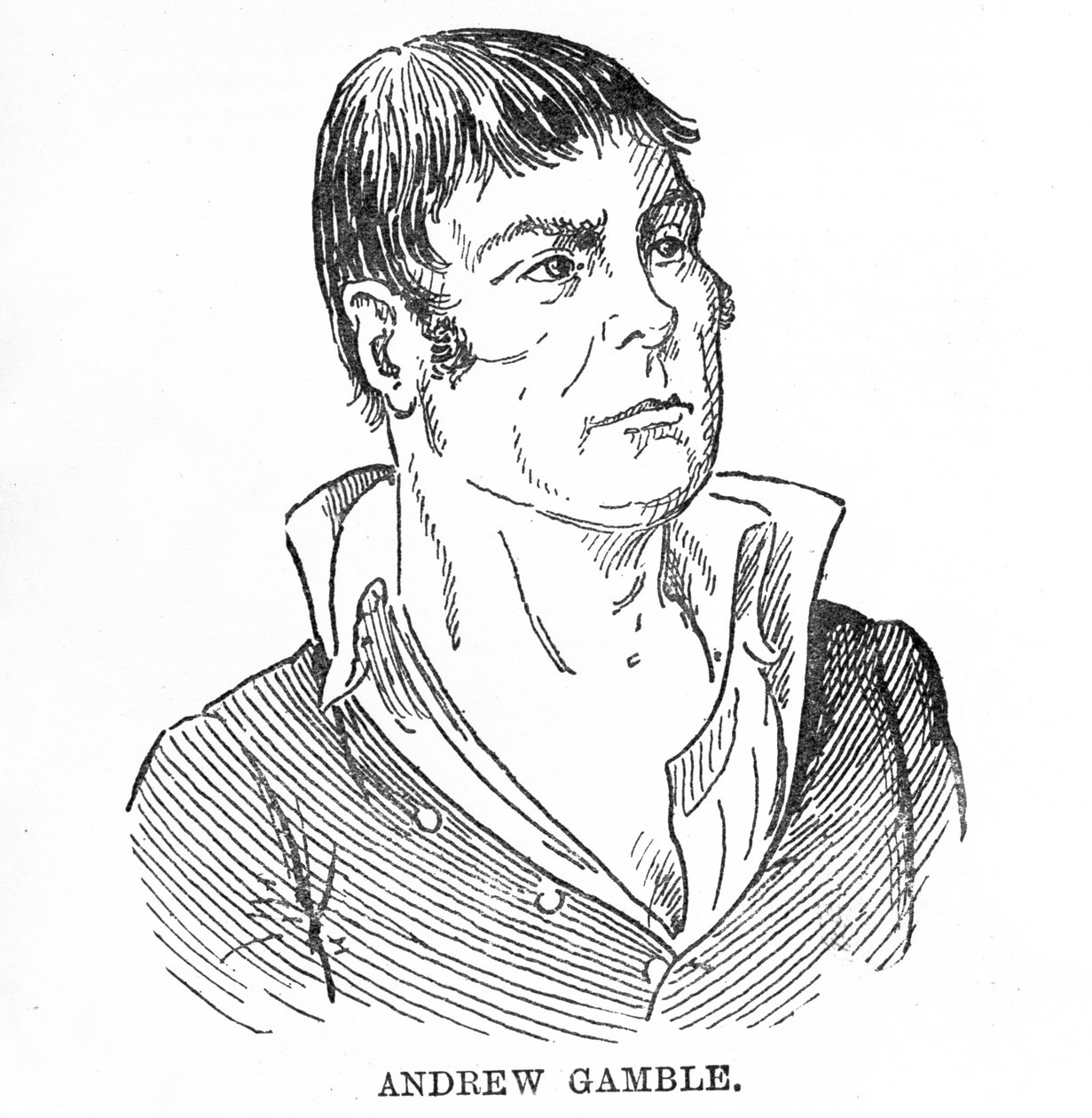 Andrew Gamble alkotó: English School