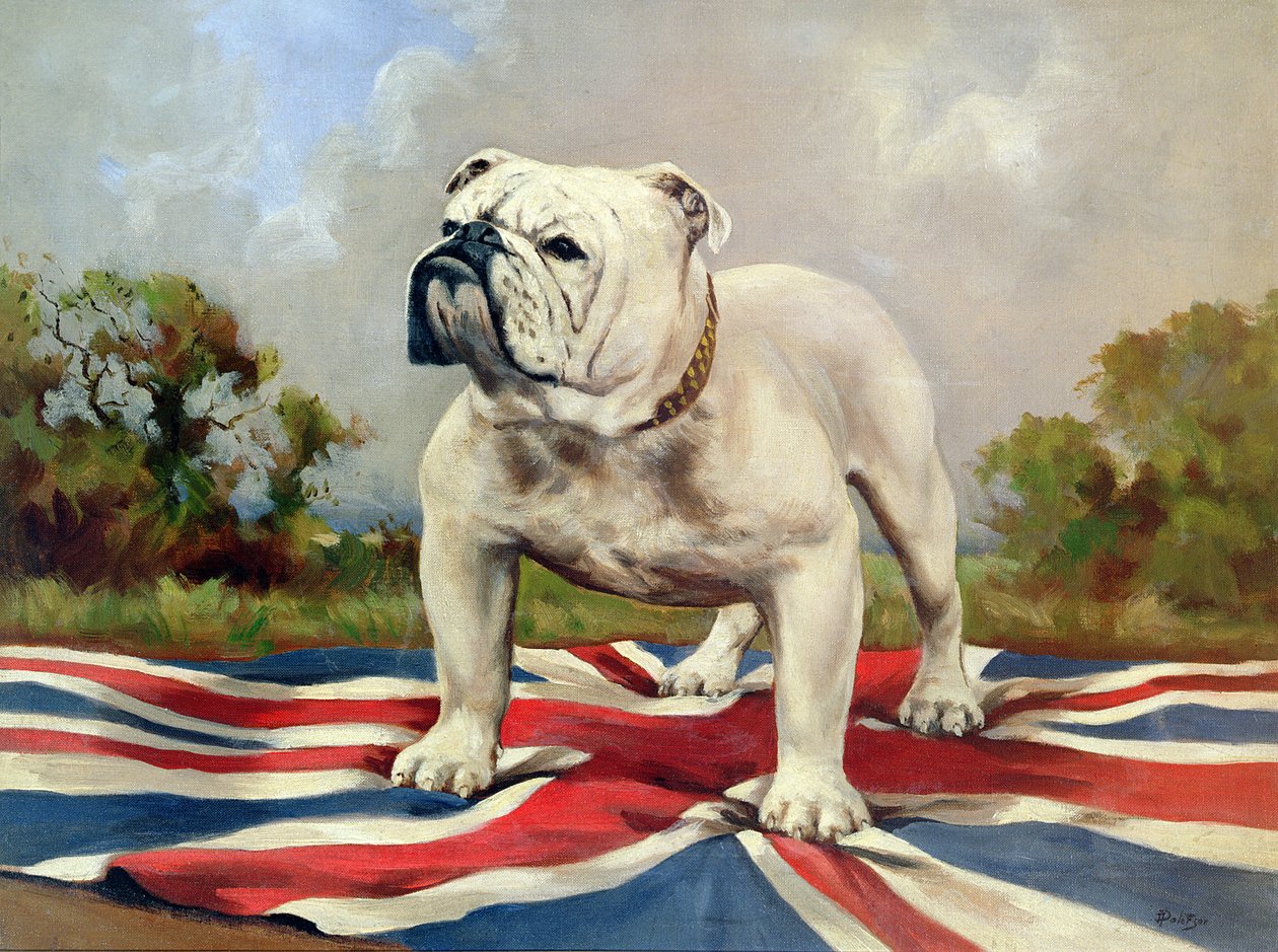 brit bulldog alkotó: English School