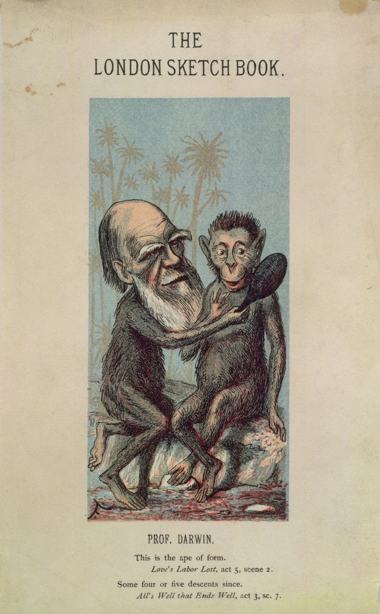 Rajzfilm Darwinról egy majommal, a The London Sketch Bookból, 1874. április, 1. kötet, 4. szám alkotó: English School
