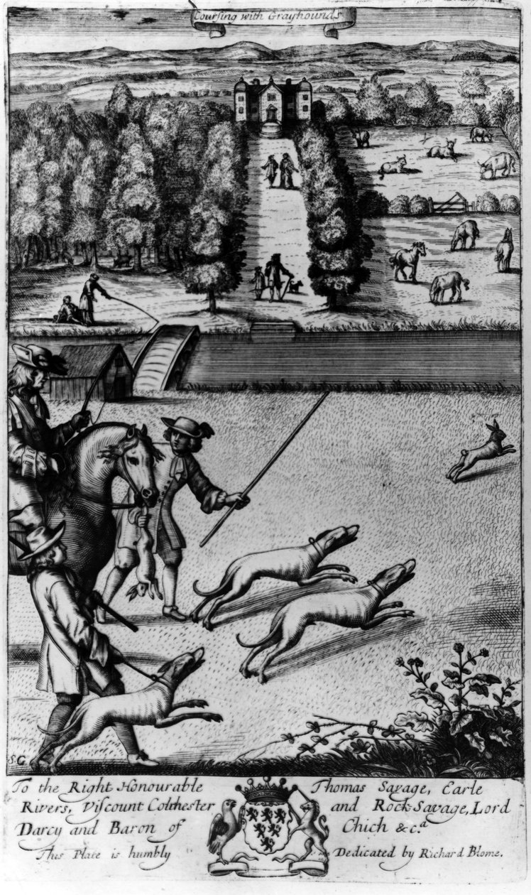 Coursing with Greyhounds, a "The Gentleman