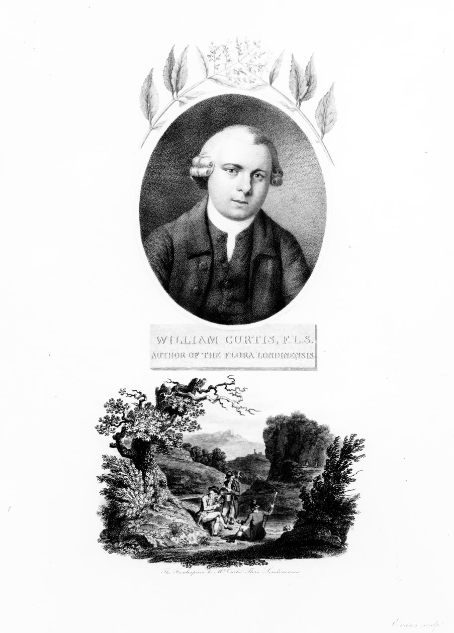 A „Flora Londinensis” előlapja William Curtis szerző portréjával, 1802-ben megjelent kiadás alkotó: English School