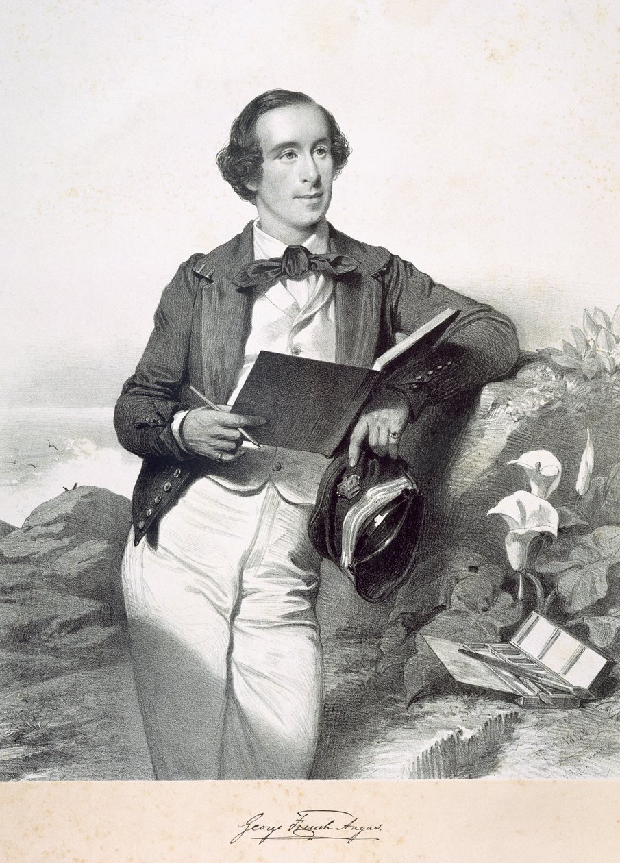 George French Angas alkotó: English School
