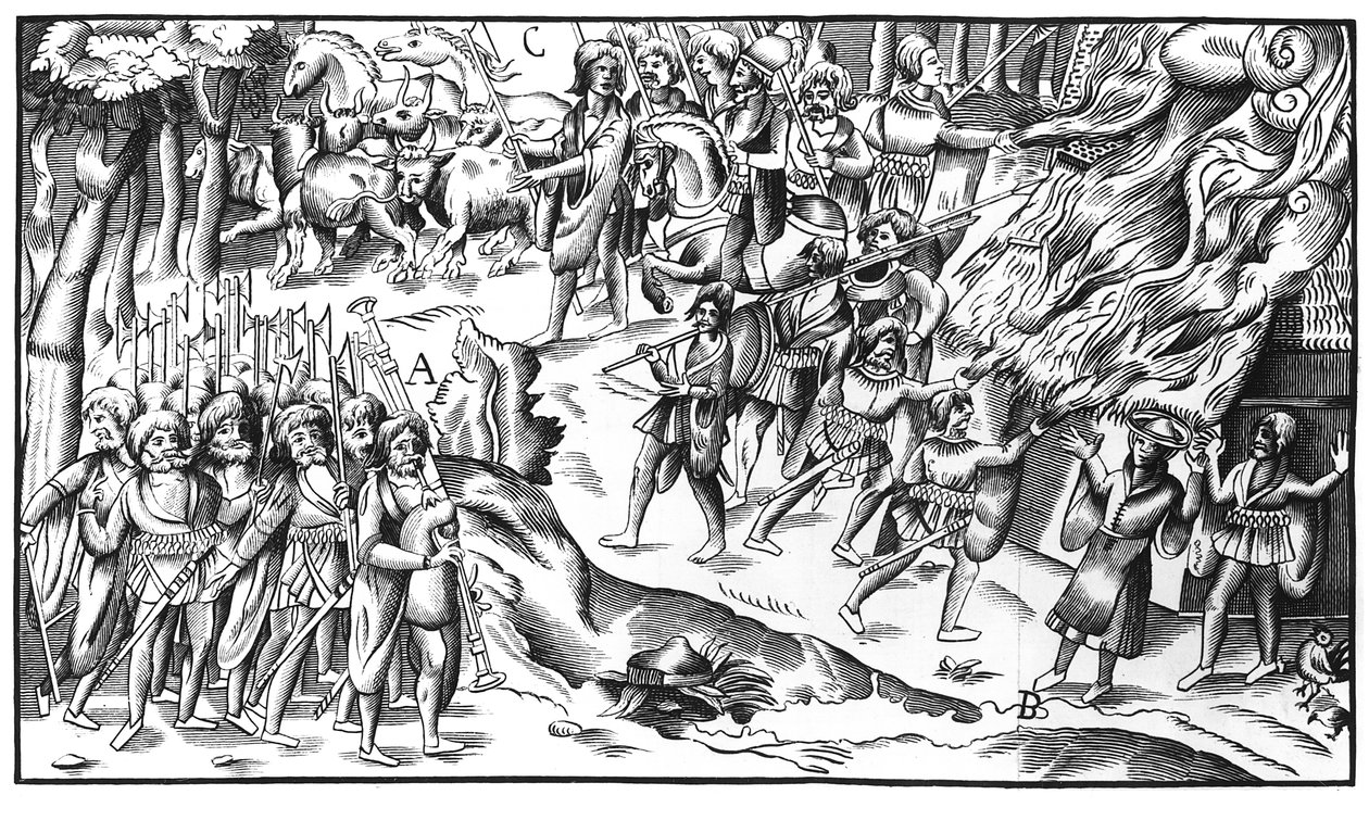 Irish Cattle Raid egy angol ültetvényen, 1581 alkotó: English School