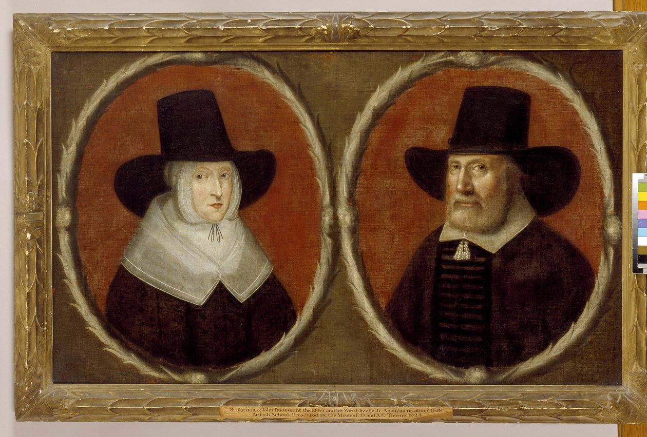 Idősebb John Tradescant és felesége, Erzsébet, 1656 alkotó: English School